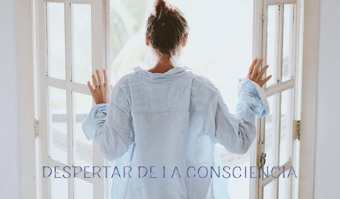 despertar de la consciencia